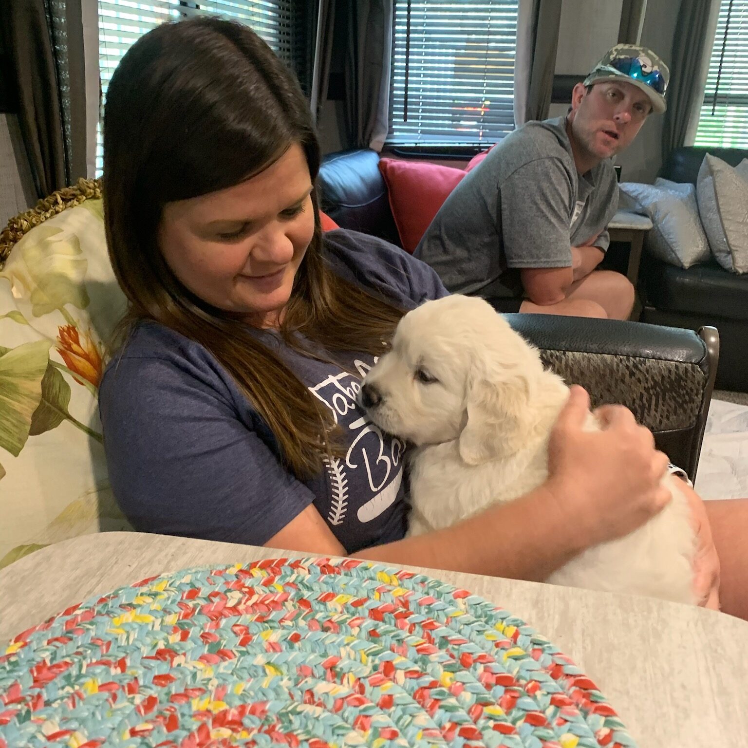 English Cream Golden Retriever