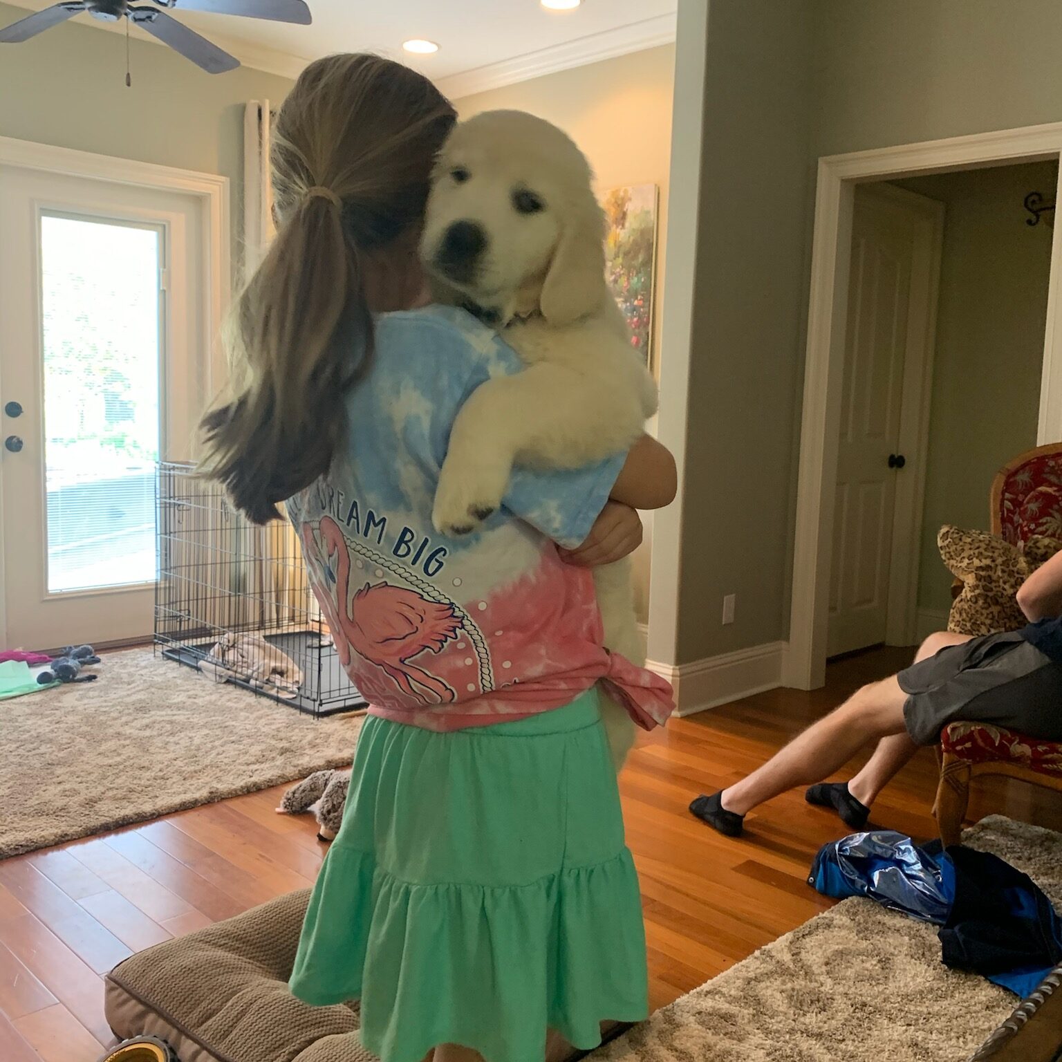 English Cream Golden Retriever