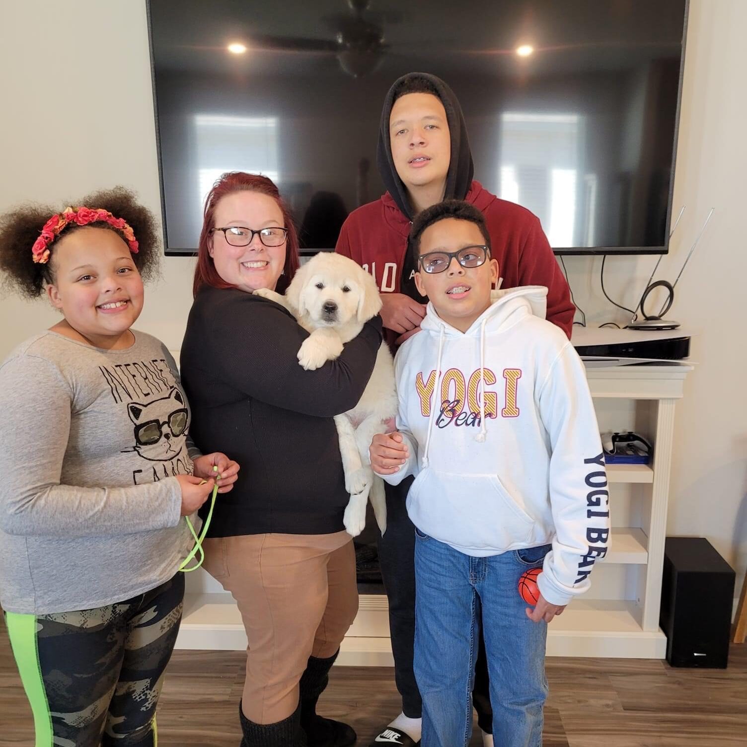 English Cream Golden Retriever