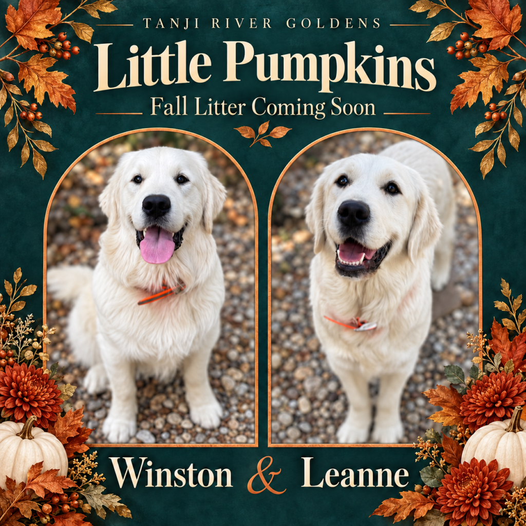 Fall Litter 1