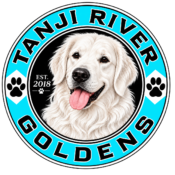 Tanji River Goldens